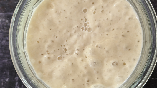 Ooma, the sourdough starter at The Considered Loaf - the living culture behind every slow-fermented loaf